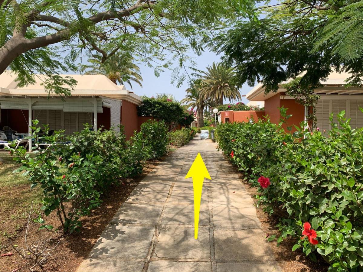 Flamboyant Tree Garden Holiday Home Maspalomas  Exterior photo