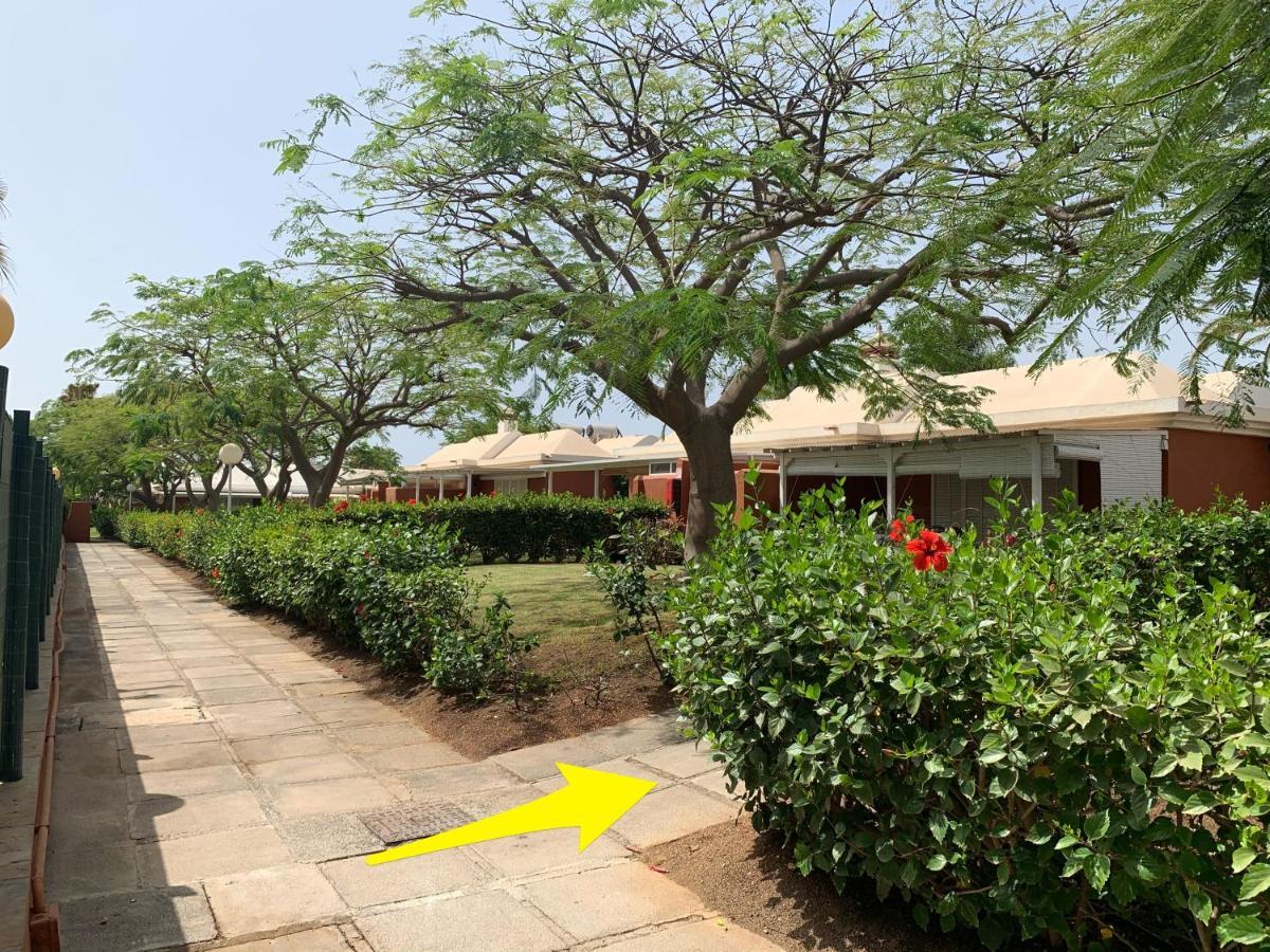 Flamboyant Tree Garden Holiday Home Maspalomas  Exterior photo